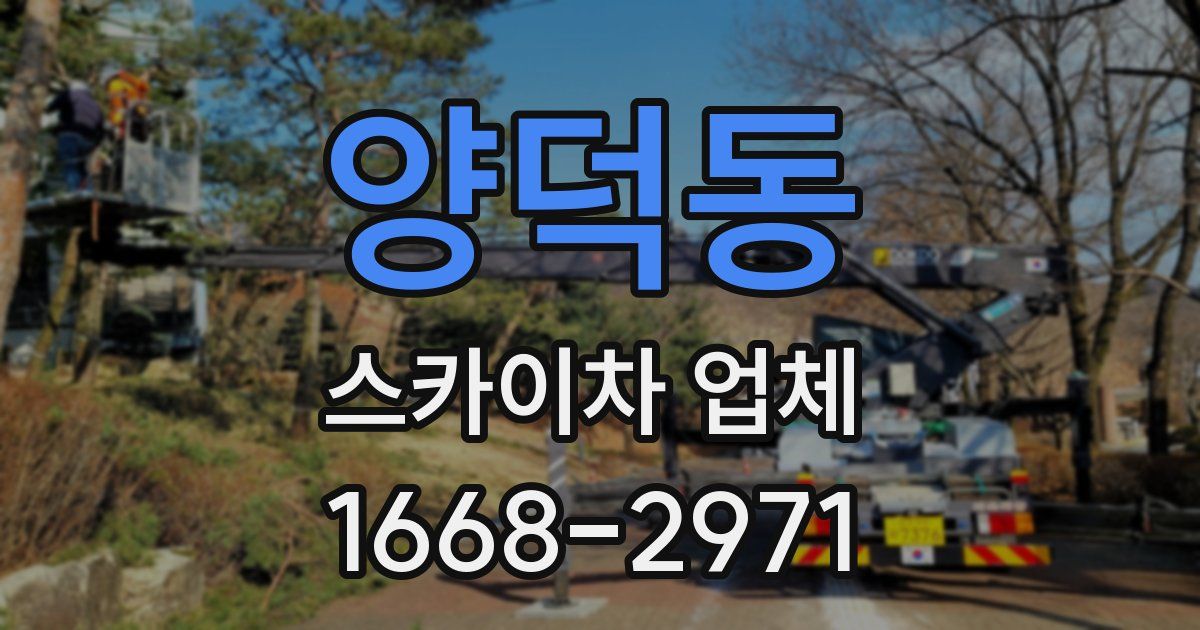 양덕동 스카이차 업체