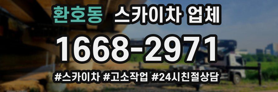 환호동 스카이차 업체