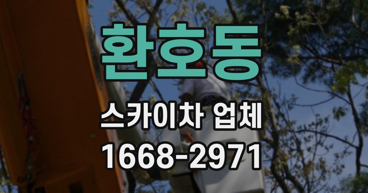 환호동 스카이차 업체