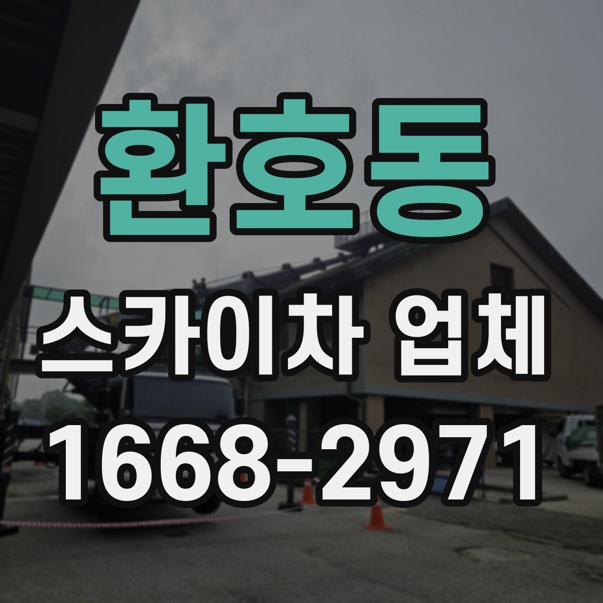 환호동 스카이차 업체