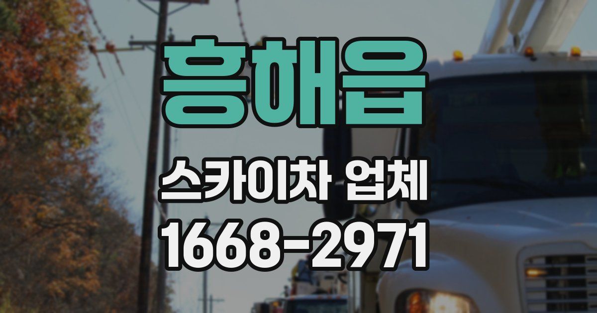 흥해읍 스카이차 업체