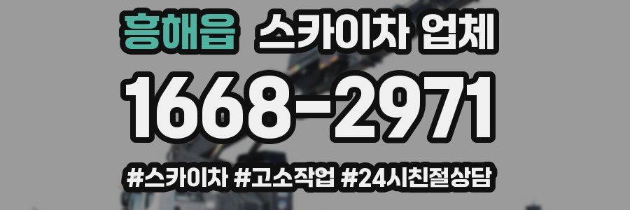 흥해읍 스카이차 업체