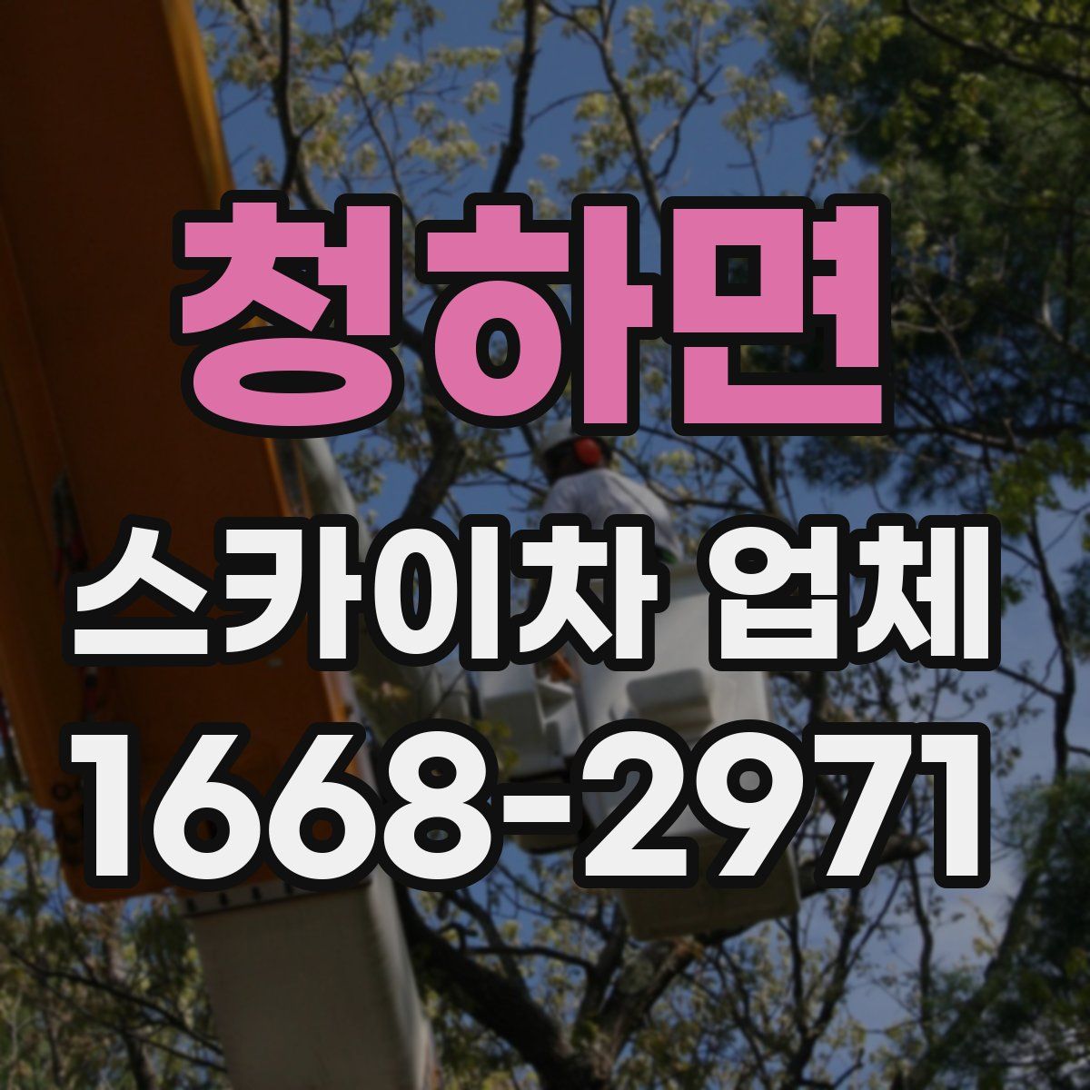 청하면 스카이차 업체