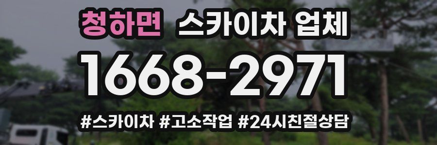 청하면 스카이차 업체