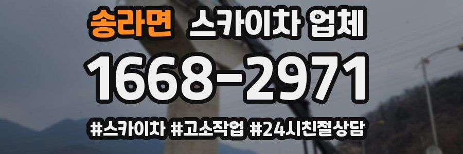 송라면 스카이차 업체