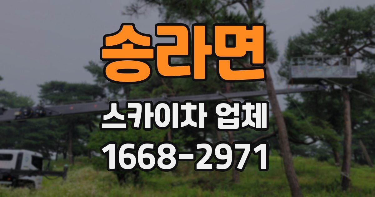송라면 스카이차 업체