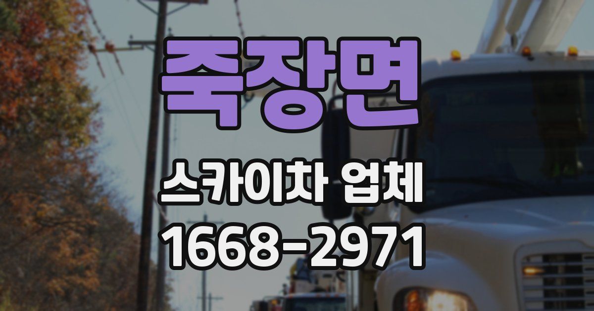 죽장면 스카이차 업체