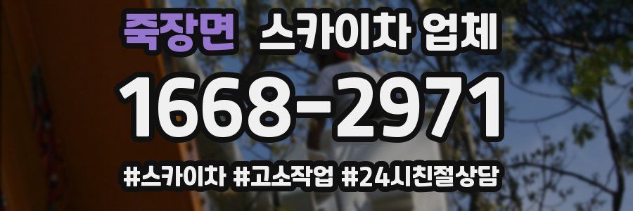 죽장면 스카이차 업체