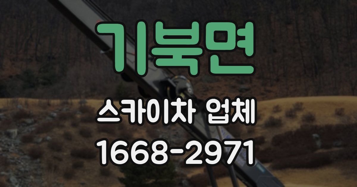 기북면 스카이차 업체