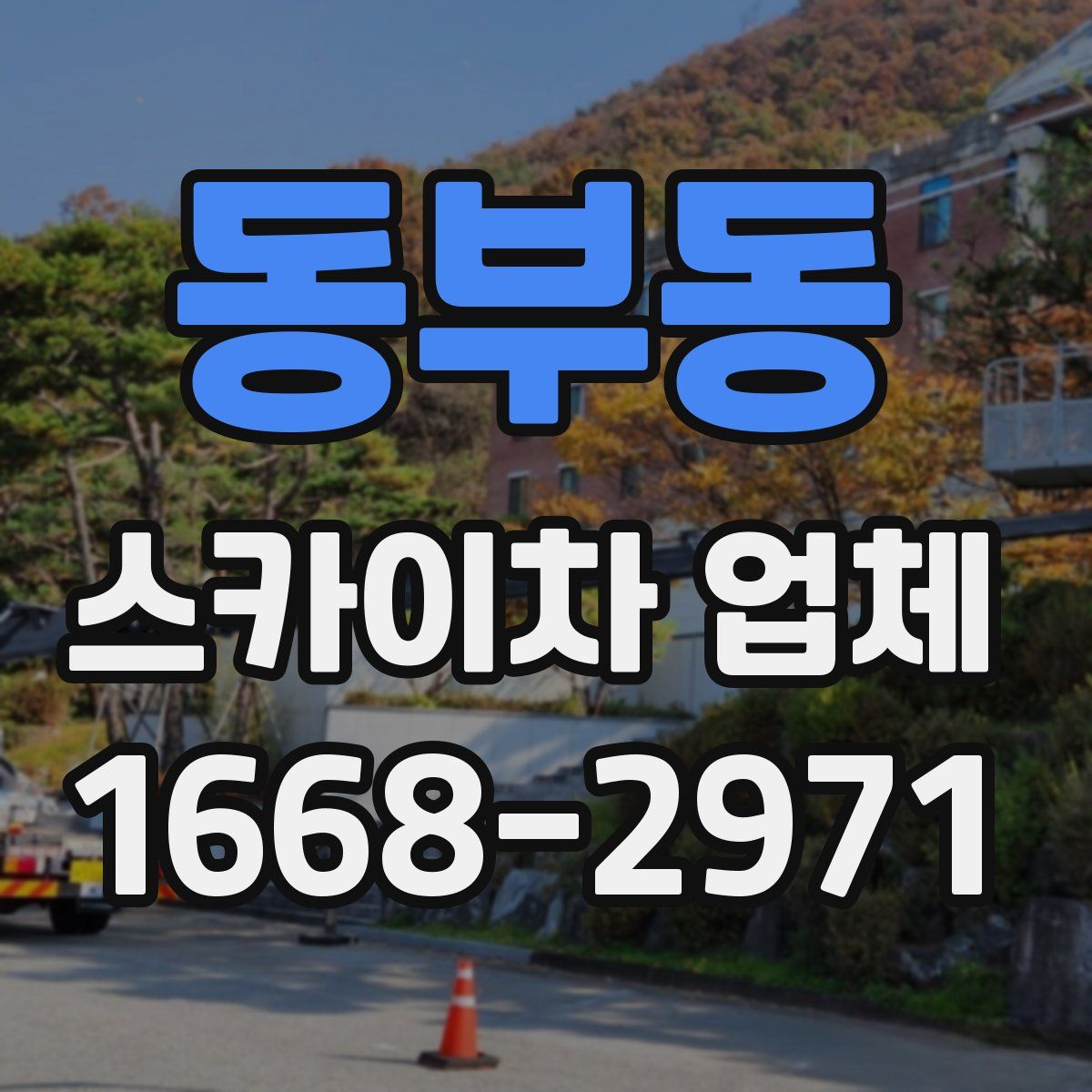 동부동 스카이차 업체