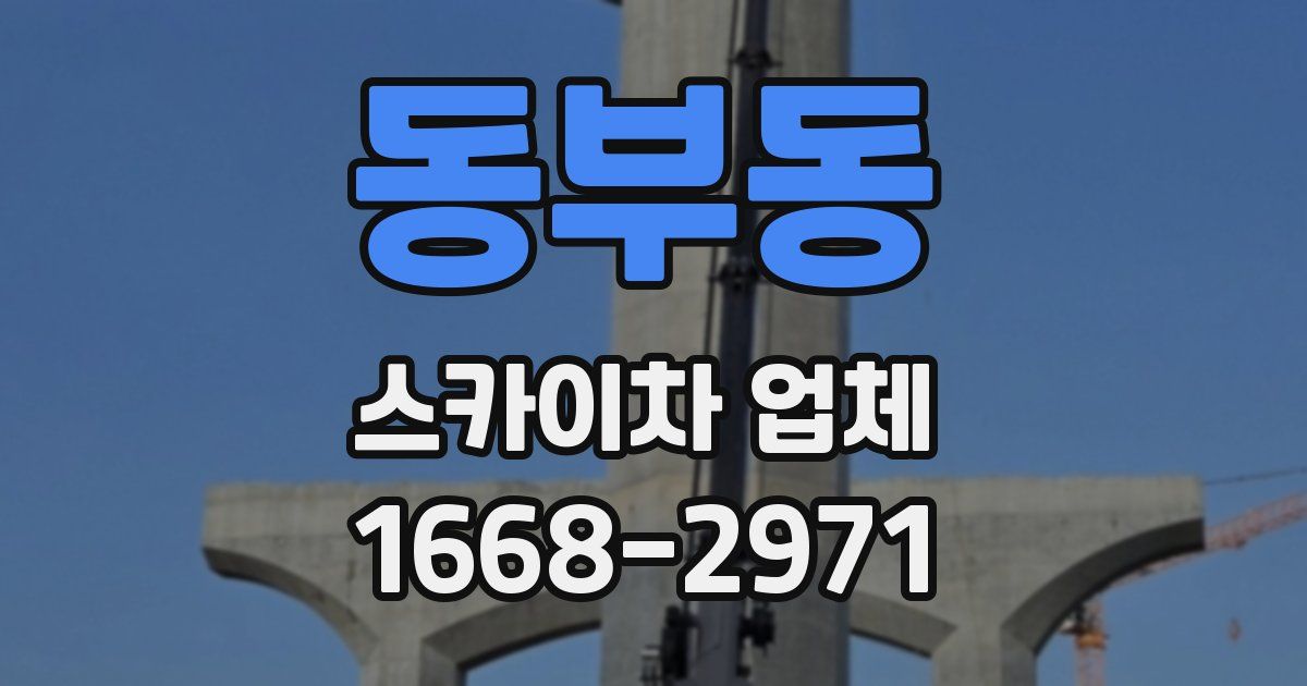 동부동 스카이차 업체