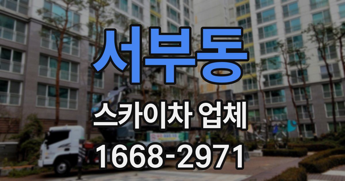 서부동 스카이차 업체