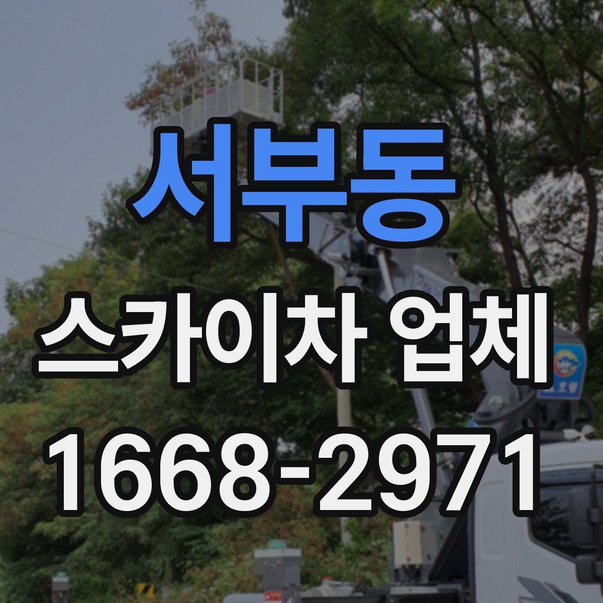 서부동 스카이차 업체