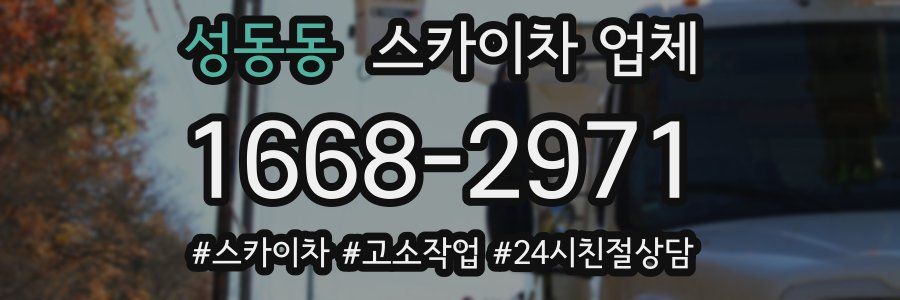 성동동 스카이차 업체