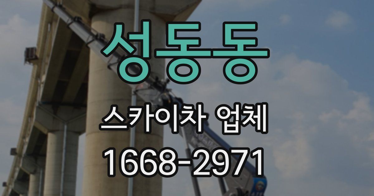 성동동 스카이차 업체