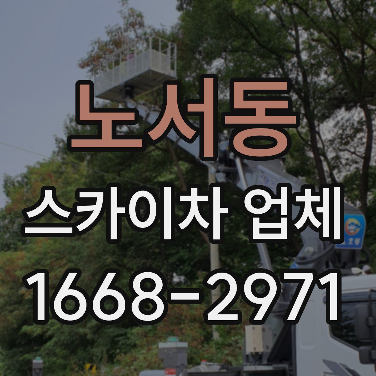 노서동 스카이차 업체