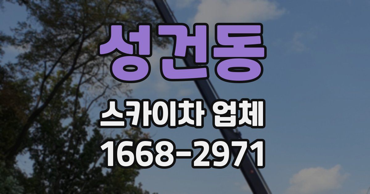 성건동 스카이차 업체