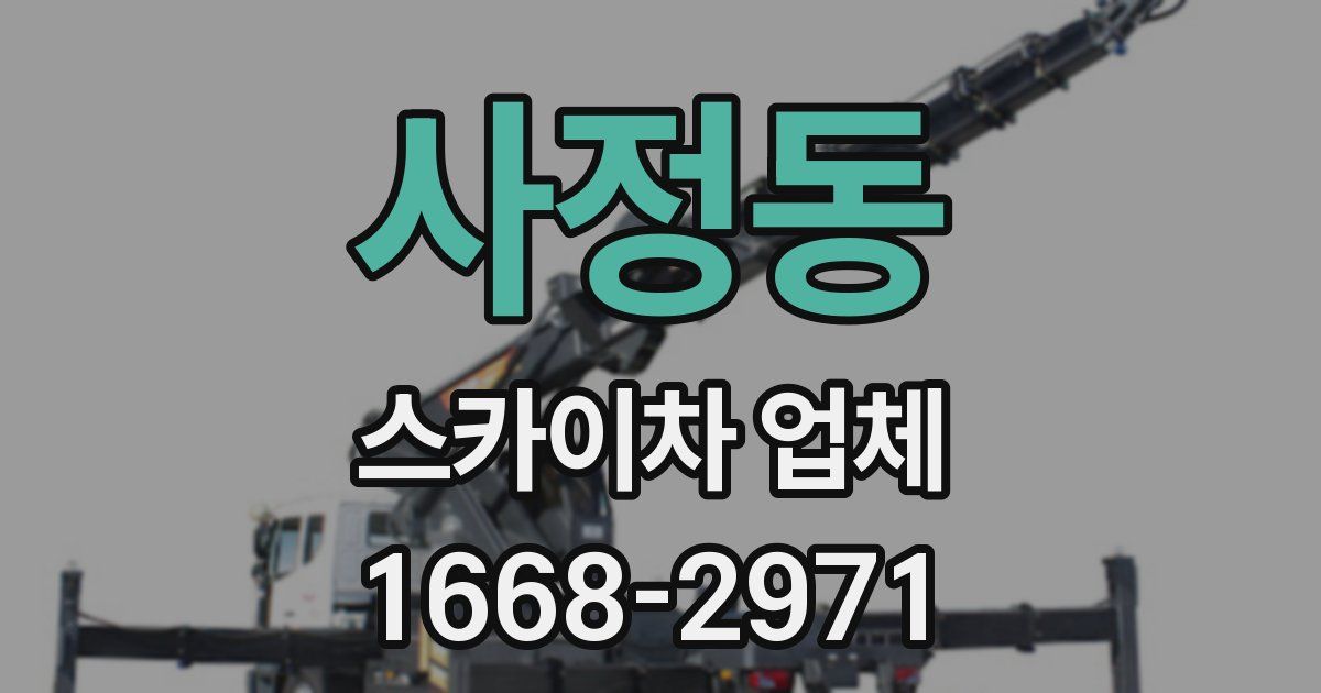 사정동 스카이차 업체