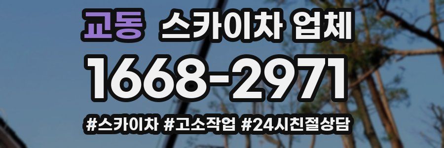 교동 스카이차 업체