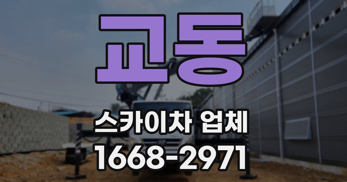 교동 스카이차 업체