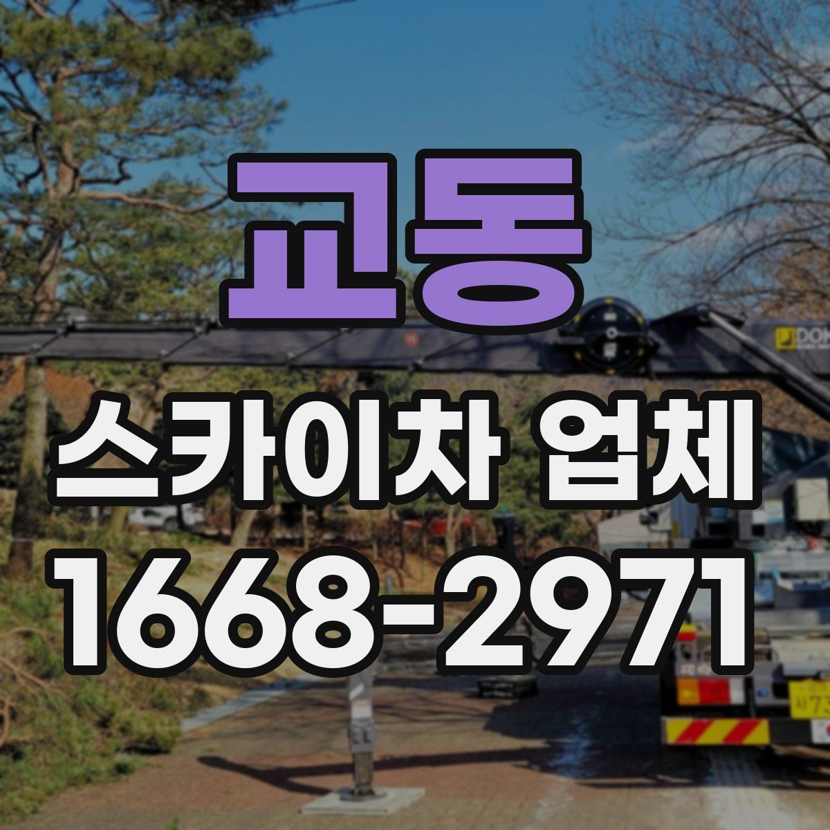 교동 스카이차 업체
