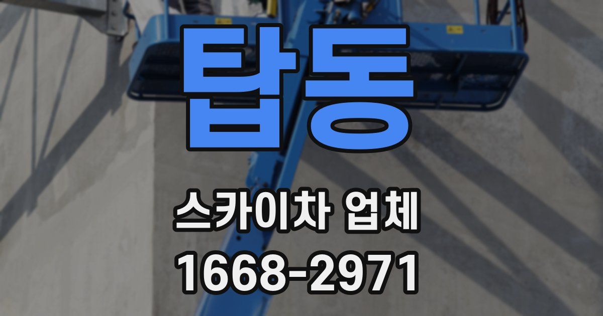 탑동 스카이차 업체