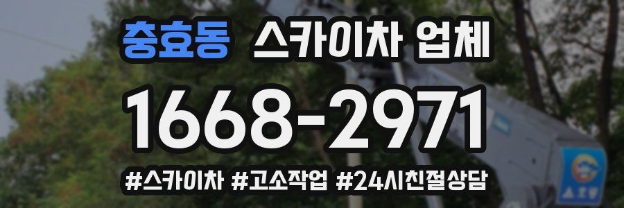 충효동 스카이차 업체