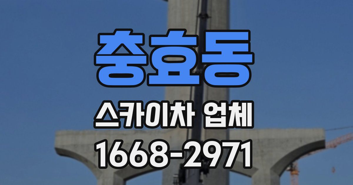 충효동 스카이차 업체