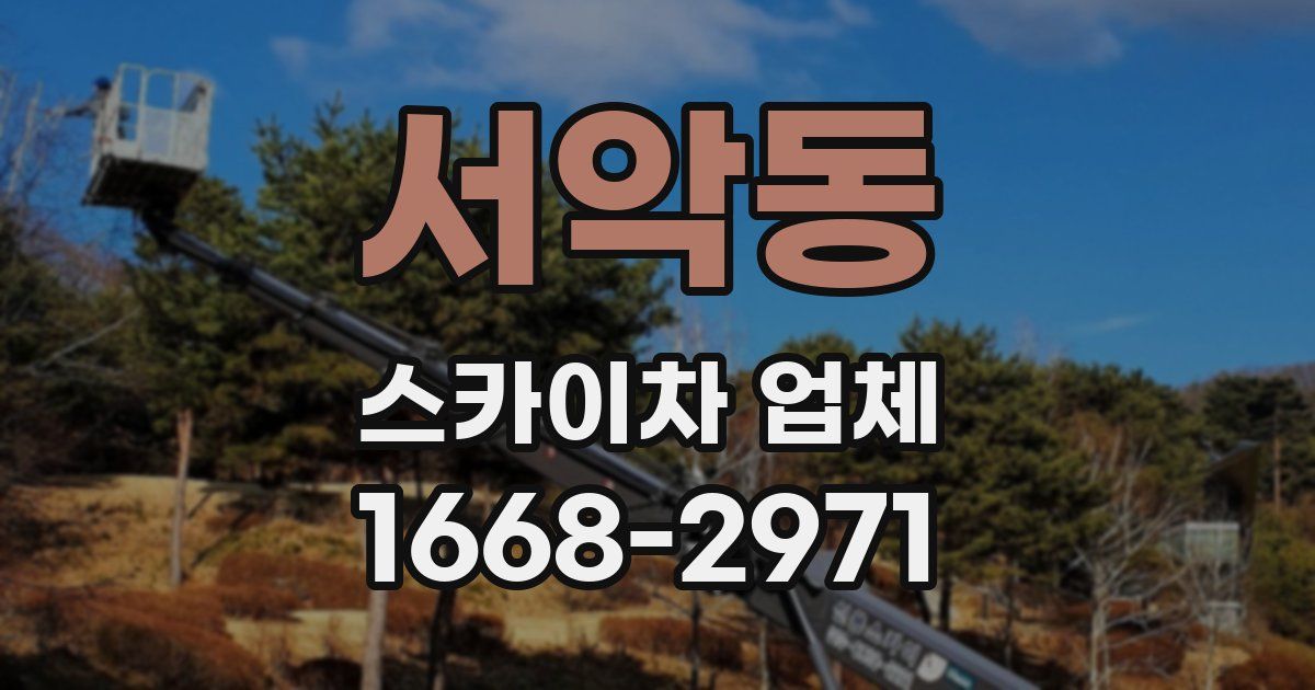 서악동 스카이차 업체