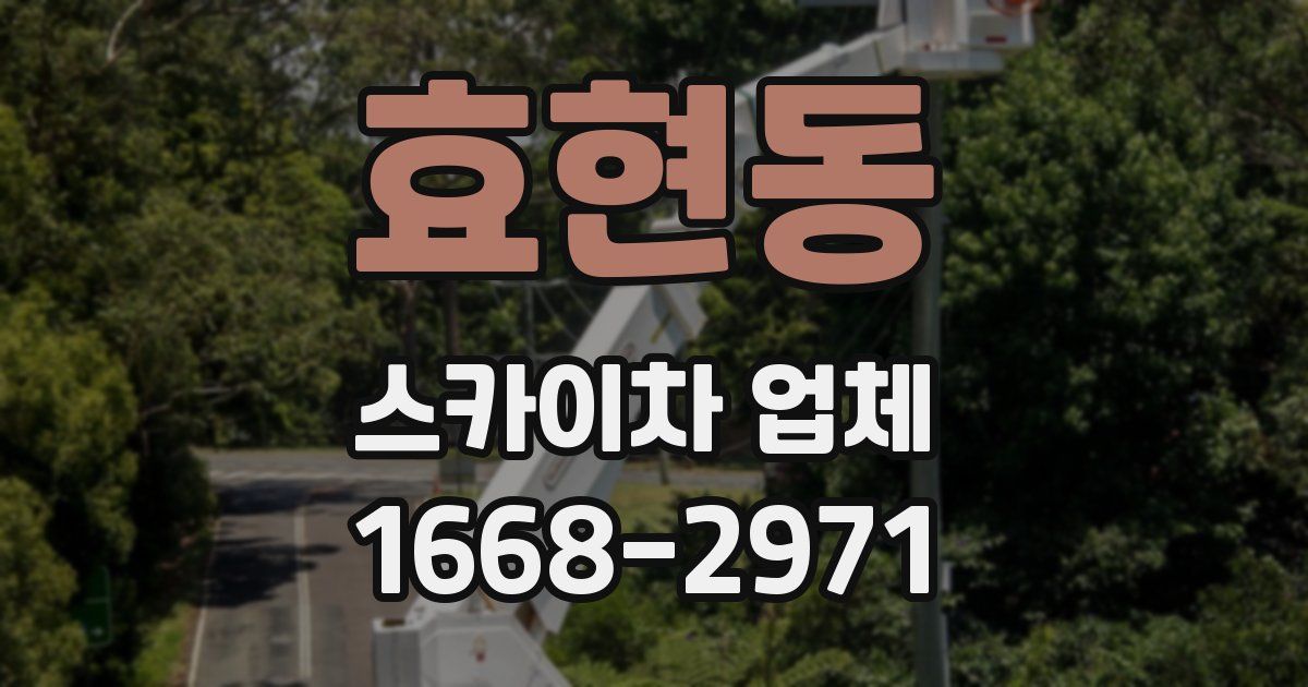 효현동 스카이차 업체