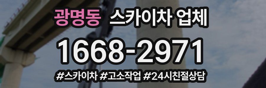 광명동 스카이차 업체