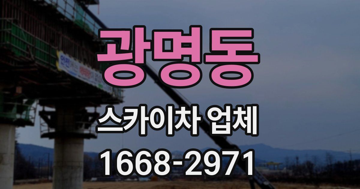 광명동 스카이차 업체