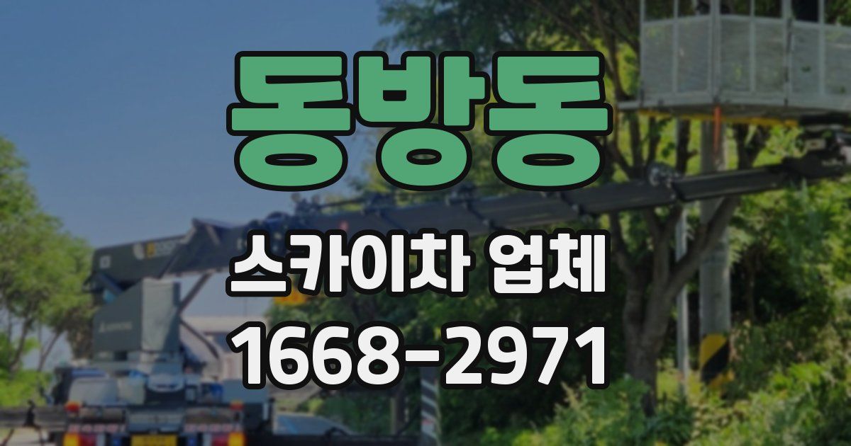 동방동 스카이차 업체