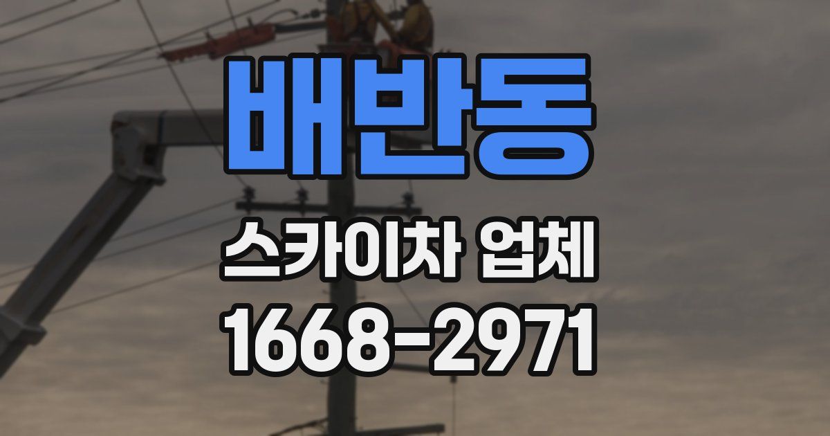 배반동 스카이차 업체