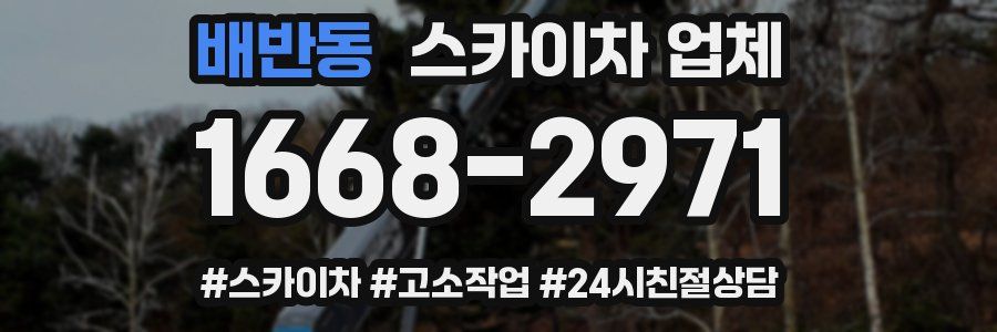 배반동 스카이차 업체
