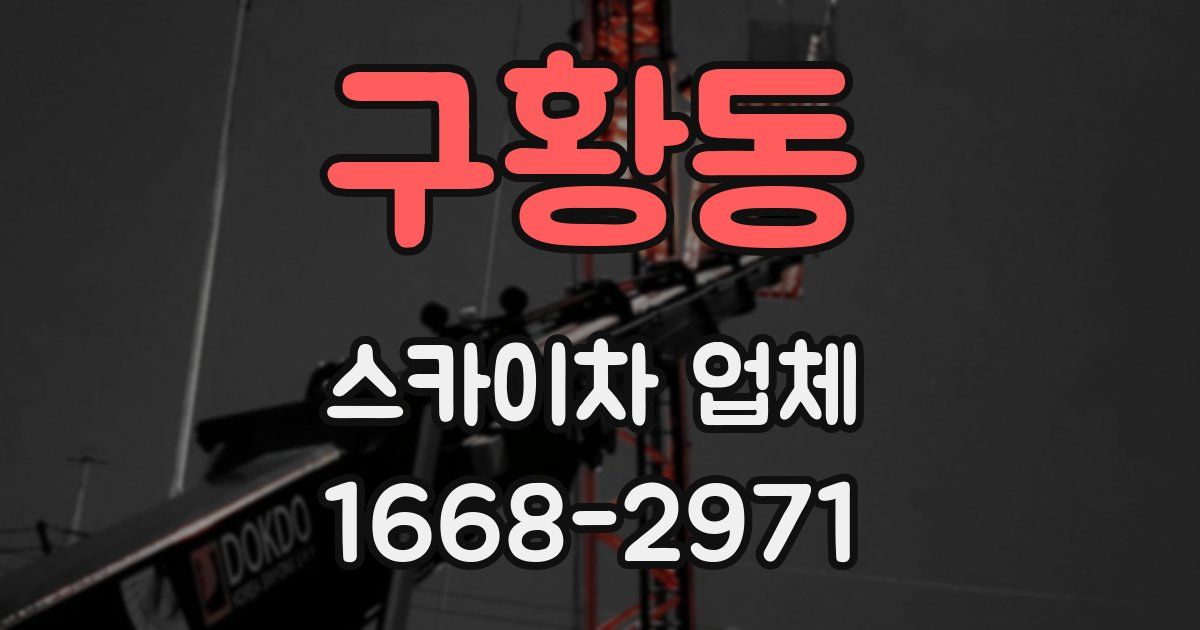 구황동 스카이차 업체