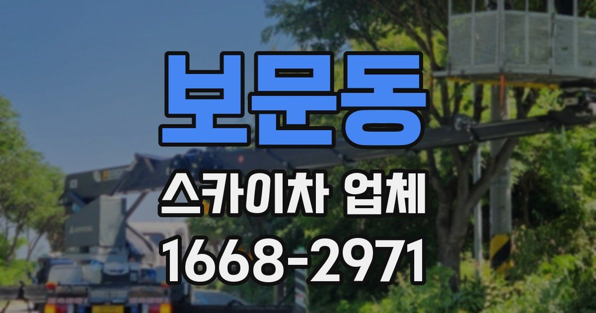 보문동 스카이차 업체