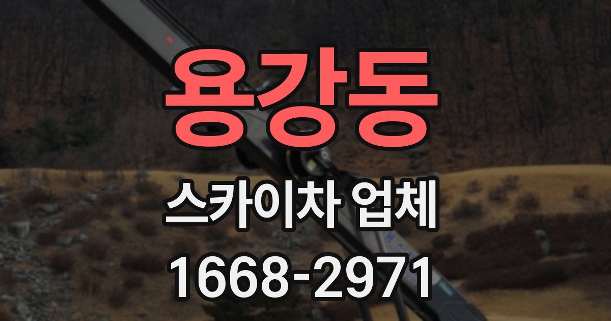 용강동 스카이차 업체