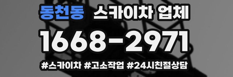 동천동 스카이차 업체
