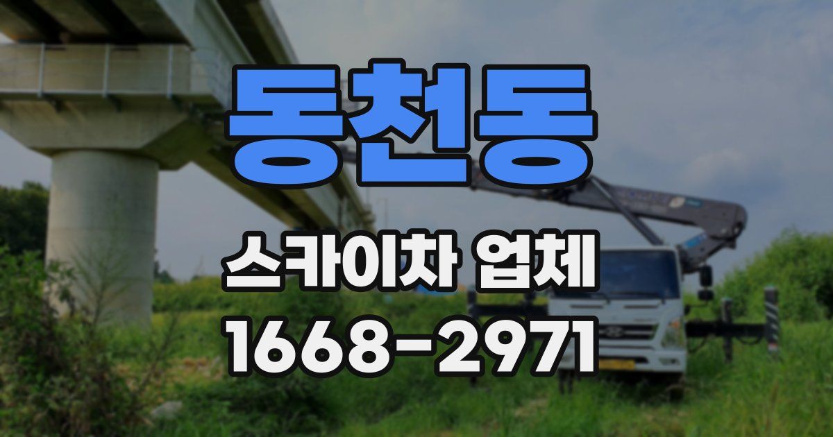 동천동 스카이차 업체