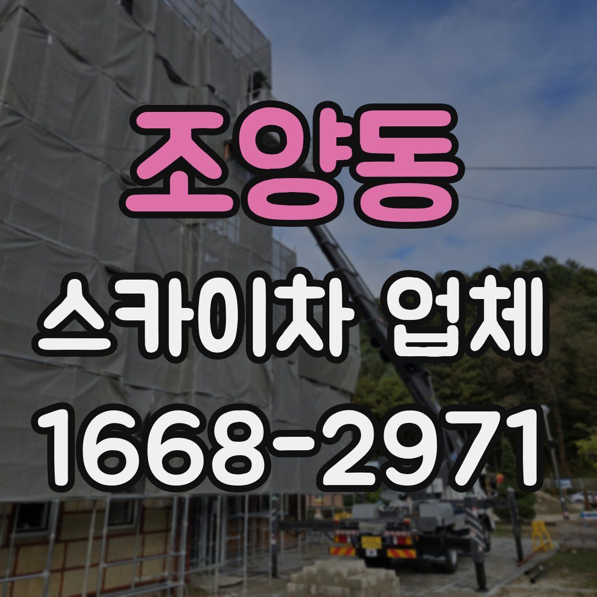 조양동 스카이차 업체