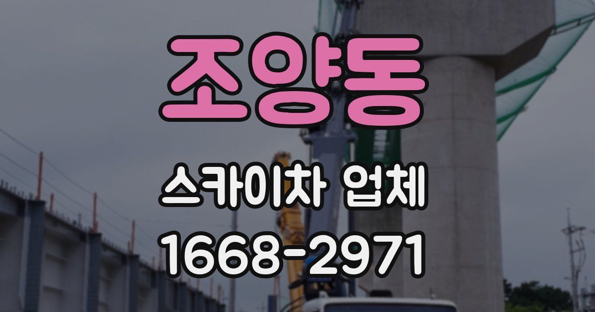 조양동 스카이차 업체