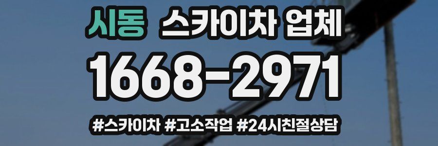 시동 스카이차 업체