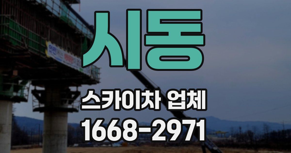 시동 스카이차 업체