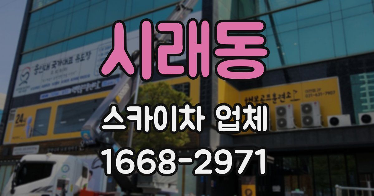 시래동 스카이차 업체