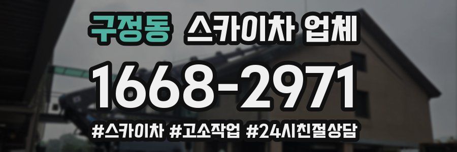 구정동 스카이차 업체