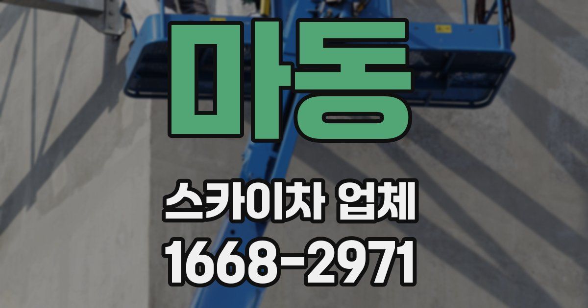 마동 스카이차 업체