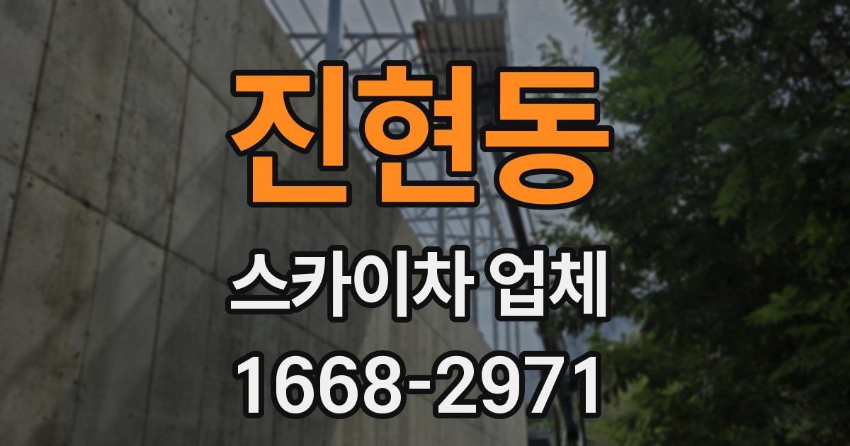 진현동 스카이차 업체