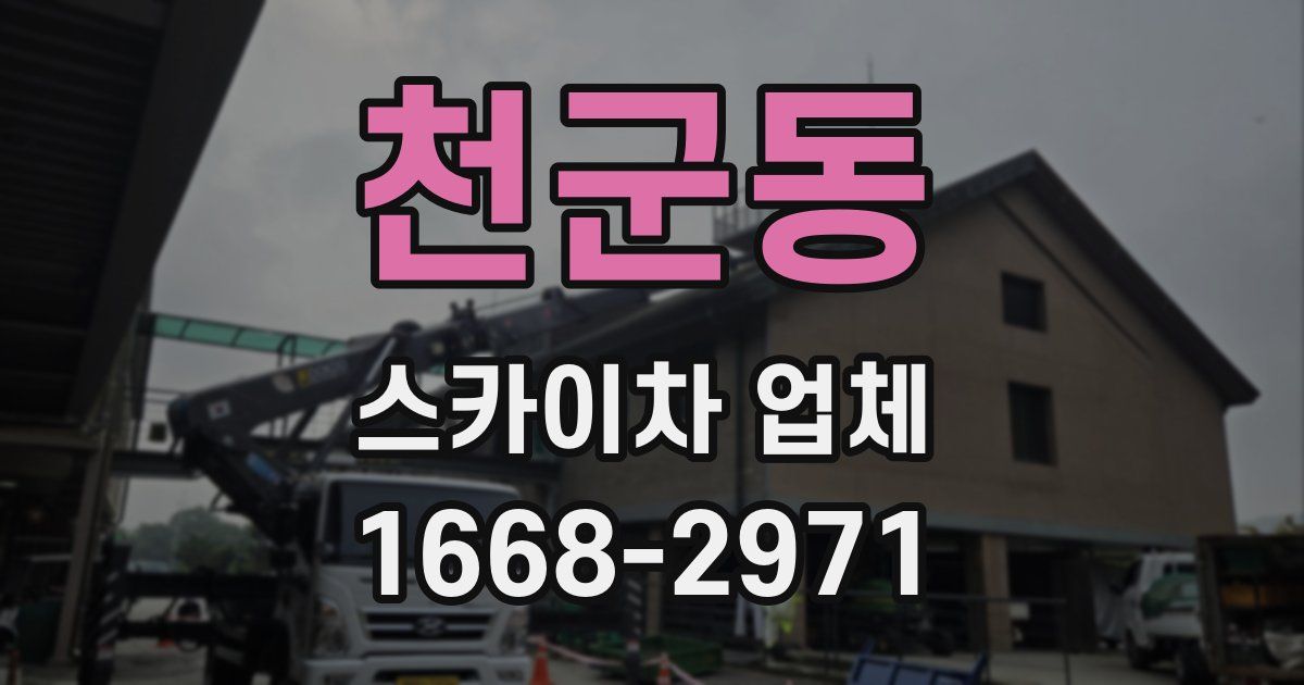 천군동 스카이차 업체