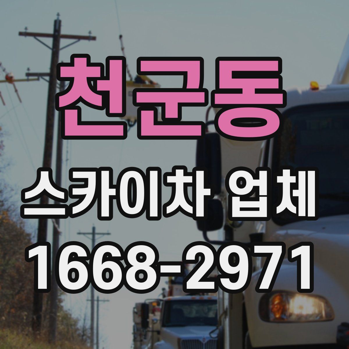 천군동 스카이차 업체